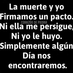 Meet your Posher, Irene